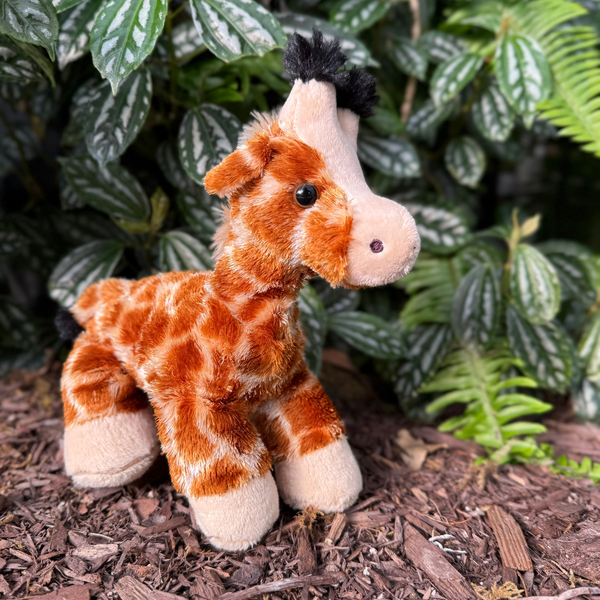 Adorable Giraffe Plush backdropped by foliage in your Toronto Zoo Greenhouse