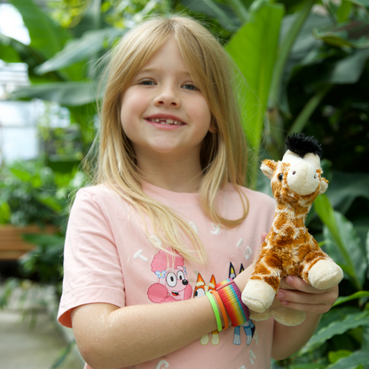 Holiday Masai Giraffe Plush Package