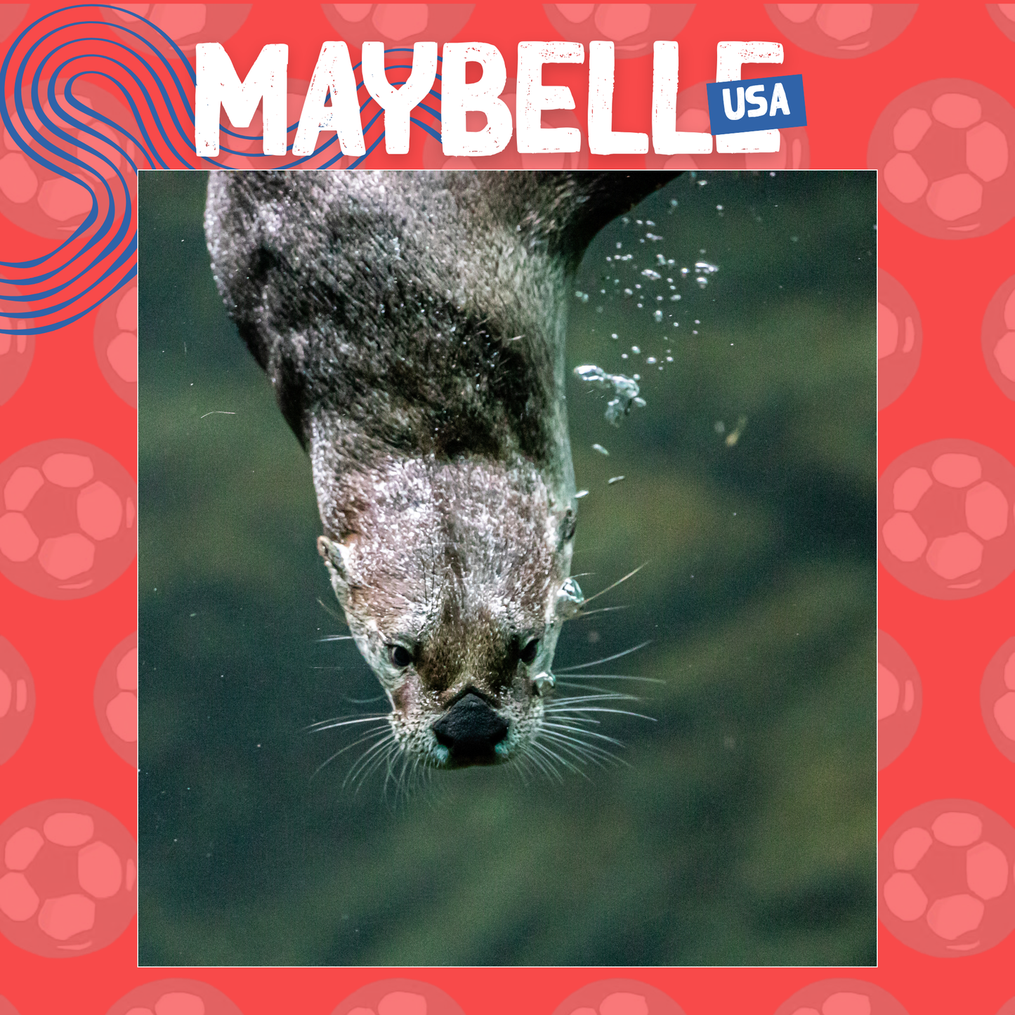 Wild Cup - North American River Otter, Maybelle