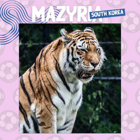 Wild Cup - Amur Tiger, Mazyria