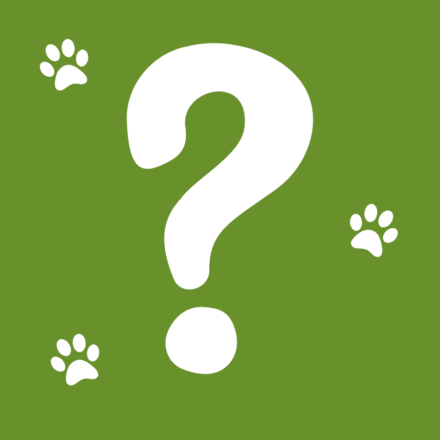 A green graphic with a white question mark, surrounded by white paw prints.